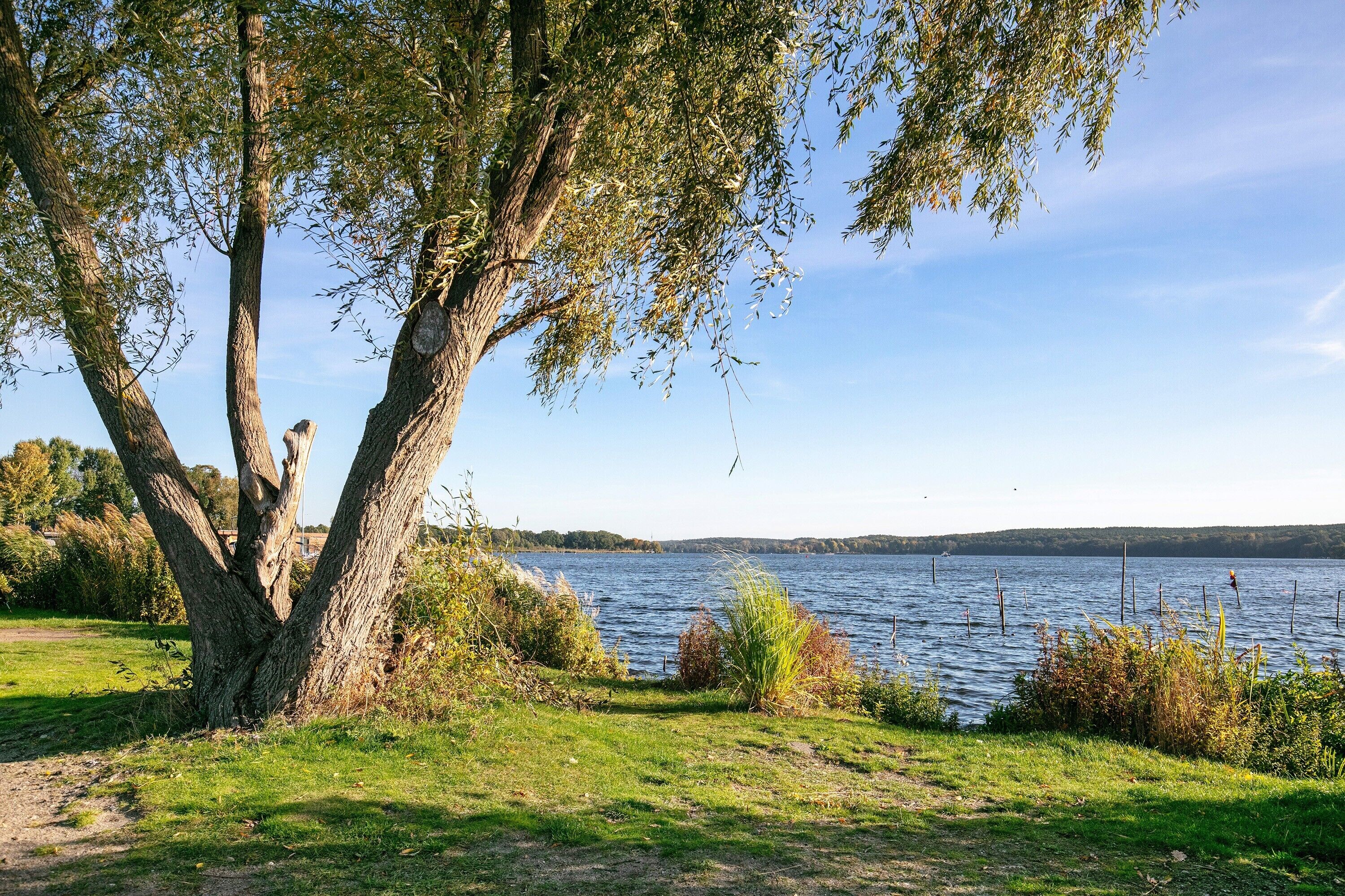 Blick auf einen See mit Bäumen und blauem Himmel.
