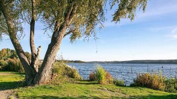 Blick auf einen See mit Bäumen und blauem Himmel.