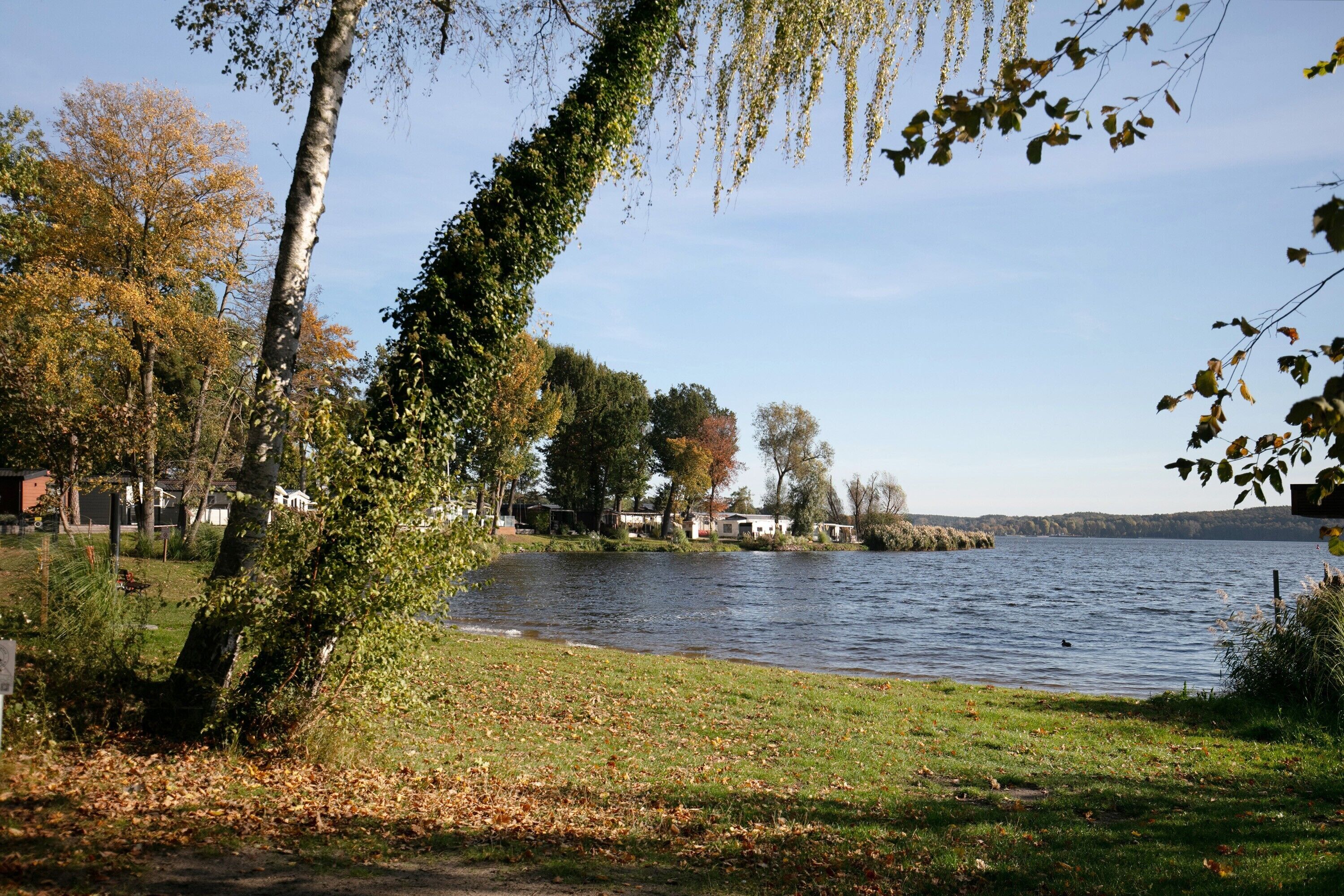 Une vue sur le lac, avec des arbres, un ciel dégagé et une rive lointaine.