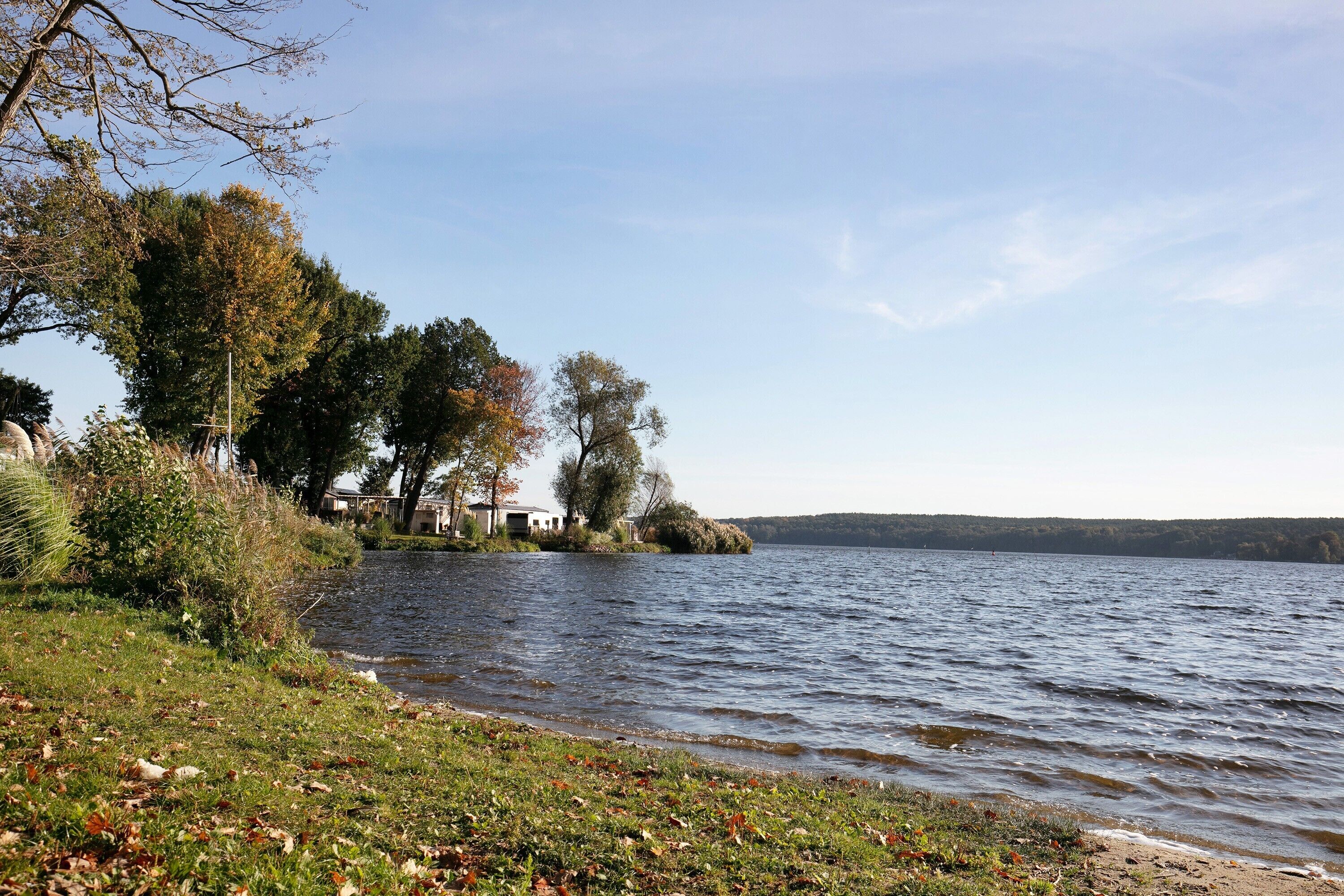 A lakeside view with a grassy shore, trees, and a distant shoreline.