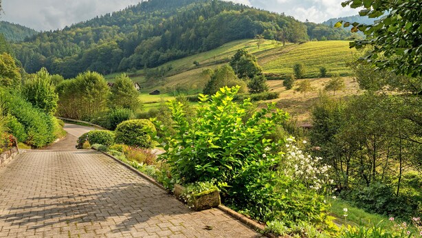 Un sentiero lastricato che si snoda attraverso un paesaggio verdeggiante, con dolci colline e una montagna sullo sfondo.
