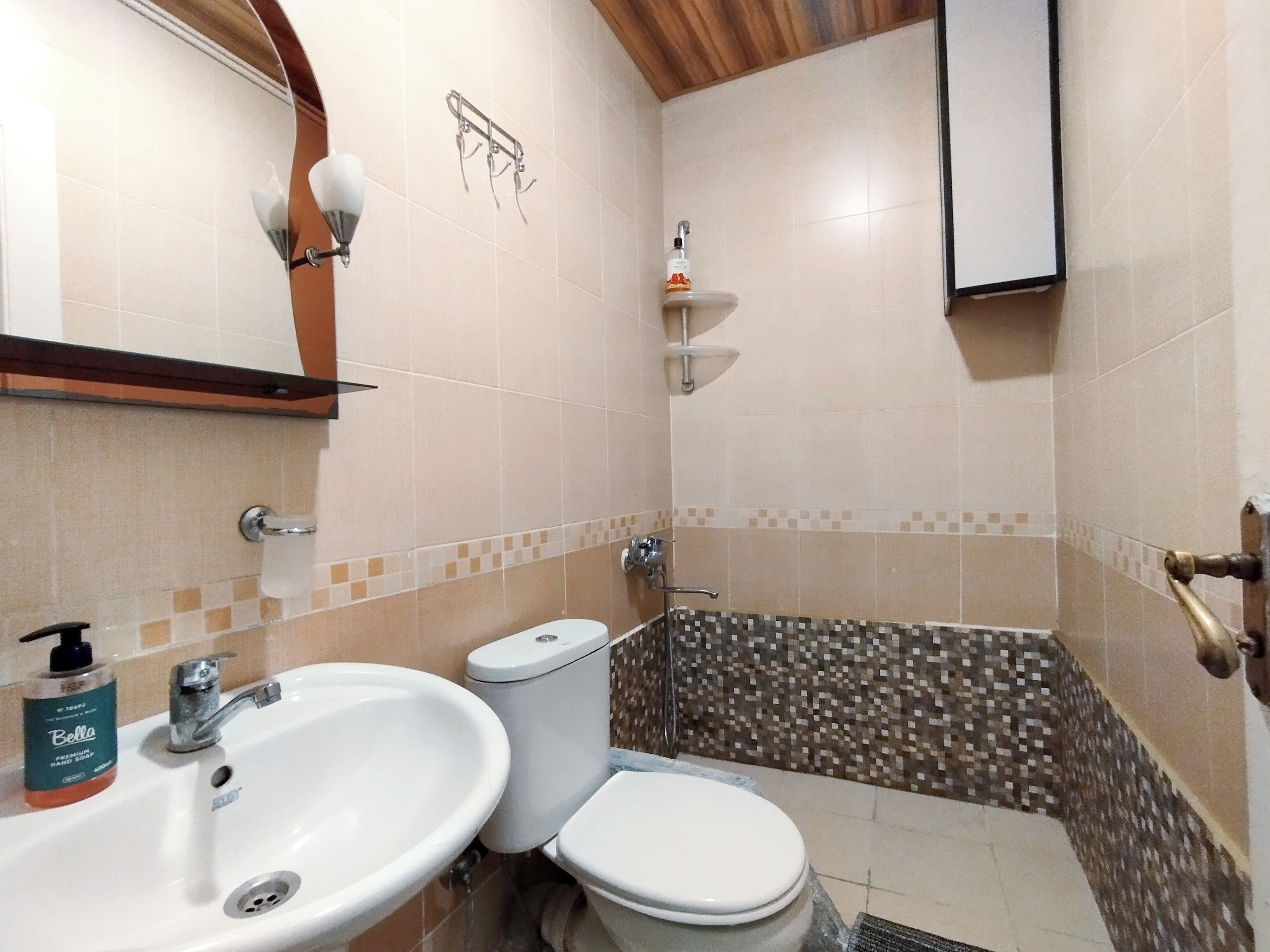 Une salle de bain avec un lavabo, des toilettes et une douche.