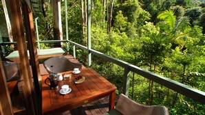 A wooden deck with a table set for two, overlooking a lush forest. - Rainforest Canopy Bungalow @ Crystal Creek Rainforest Retreat  (Upper Crystal Creek)