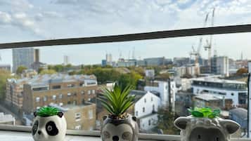 Standard Apartment, City View | City view