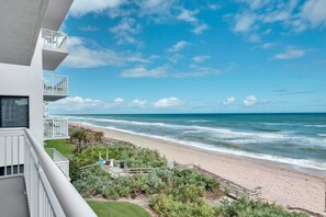 Property grounds - Direct oceanfront 2/2 condo with a large balcony and a heated beachfront pool (New Smyrna Beach)