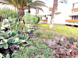Guests can enjoy a tranquil garden with a variety of plants and a palm tree.