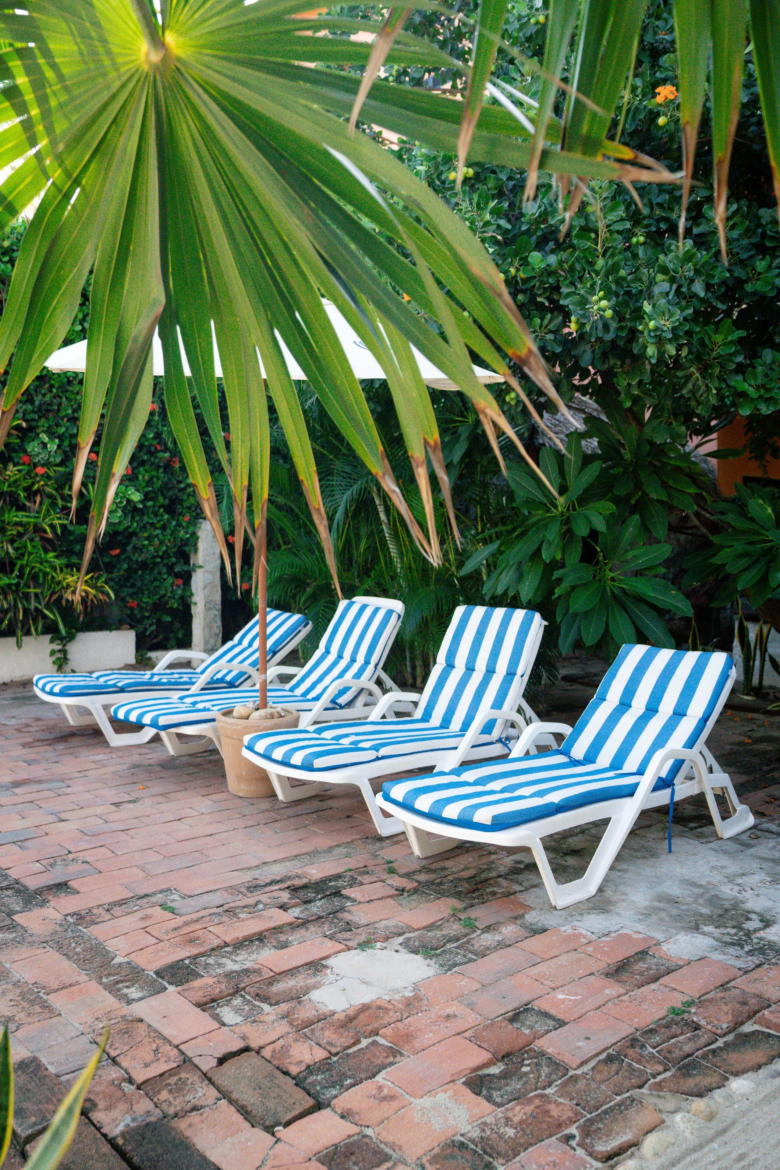 Foto - La Playita Beach House