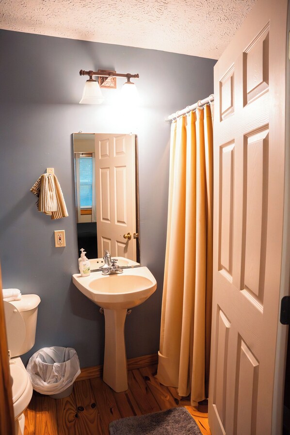 A bathroom with a pedestal sink, a mirror, a toilet, and a shower curtain. - Charming 2-bedroom cottage with loft, AC, and WiFi on peaceful 295-acre property (Solgohachia)