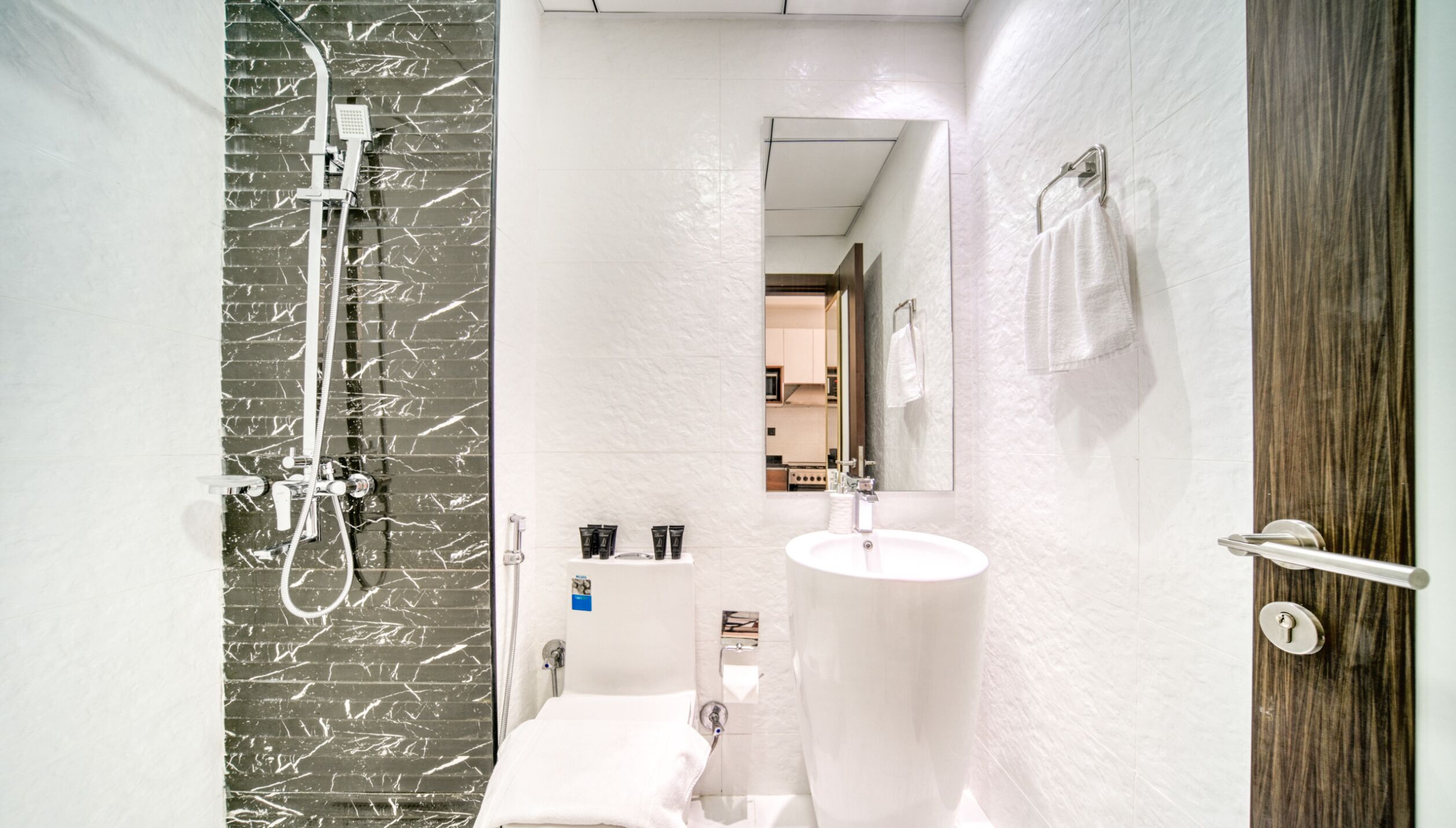 Shower, hair dryer, towels