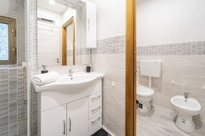 Shower, hair dryer, bidet, towels