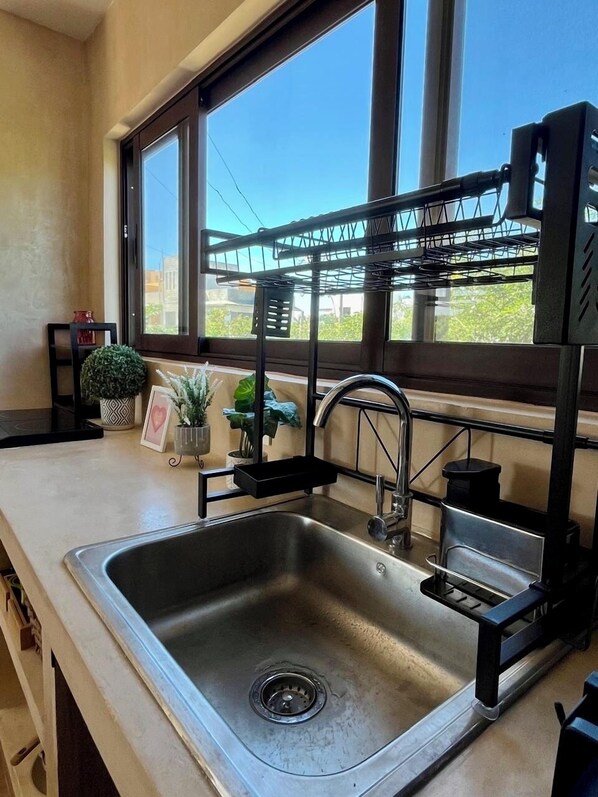 A kitchen with a stainless steel sink, black dish rack, and potted plants.