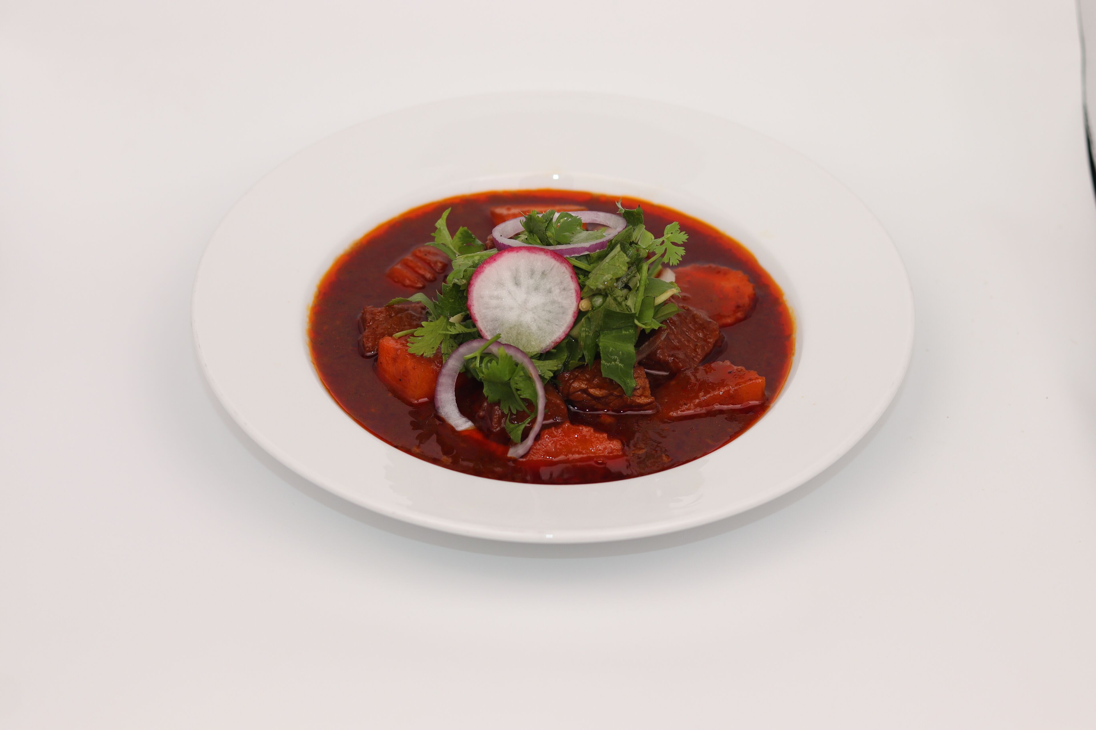 A white plate with a red sauce dish garnished with radish slices and cilantro.
