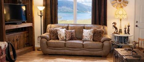 Smart TV, DVD player, books