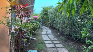 Un sendero pavimentado que atraviesa un jardín con diversas plantas y un paraguas rojo.