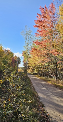 A well-maintained, cozy camper in a secluded location near state land