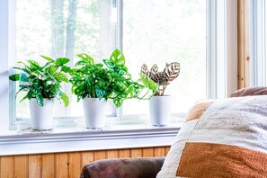 A window sill with three potted plants, a wooden paneled wall, and a cushion. - Waterfront Access | Lake Views | Dock | Pool Table (Estill Springs)