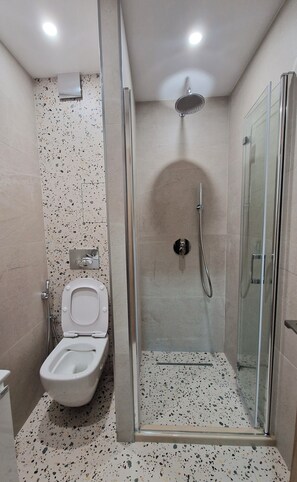 Shower, hair dryer, bidet, towels