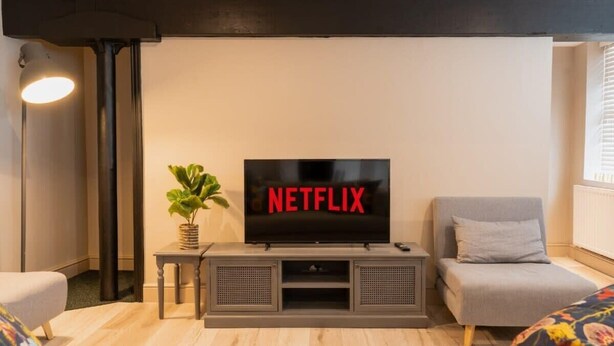 A living room with a flat-screen TV displaying 'NETFLIX,' a grey sofa, a small table with a plant, and a floor lamp.