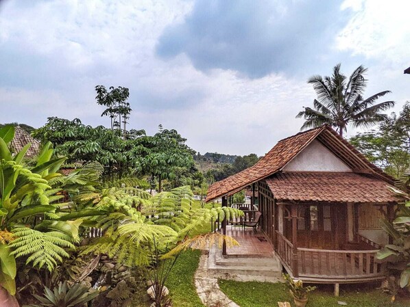 Une maison rustique en bois, avec un toit de tuiles, entourée d’une végétation tropicale luxuriante et d’un paysage vallonné.