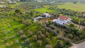 An aerial view of a residential area with a modern two-story house surrounded by lush greenery and olive groves. - Apartment 'Casula Salento' with Private Garden, Wi-Fi and Air Conditioning (matino)