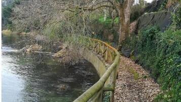 Un paseo a orillas del río con barandilla de madera, rodeado de árboles y follaje.