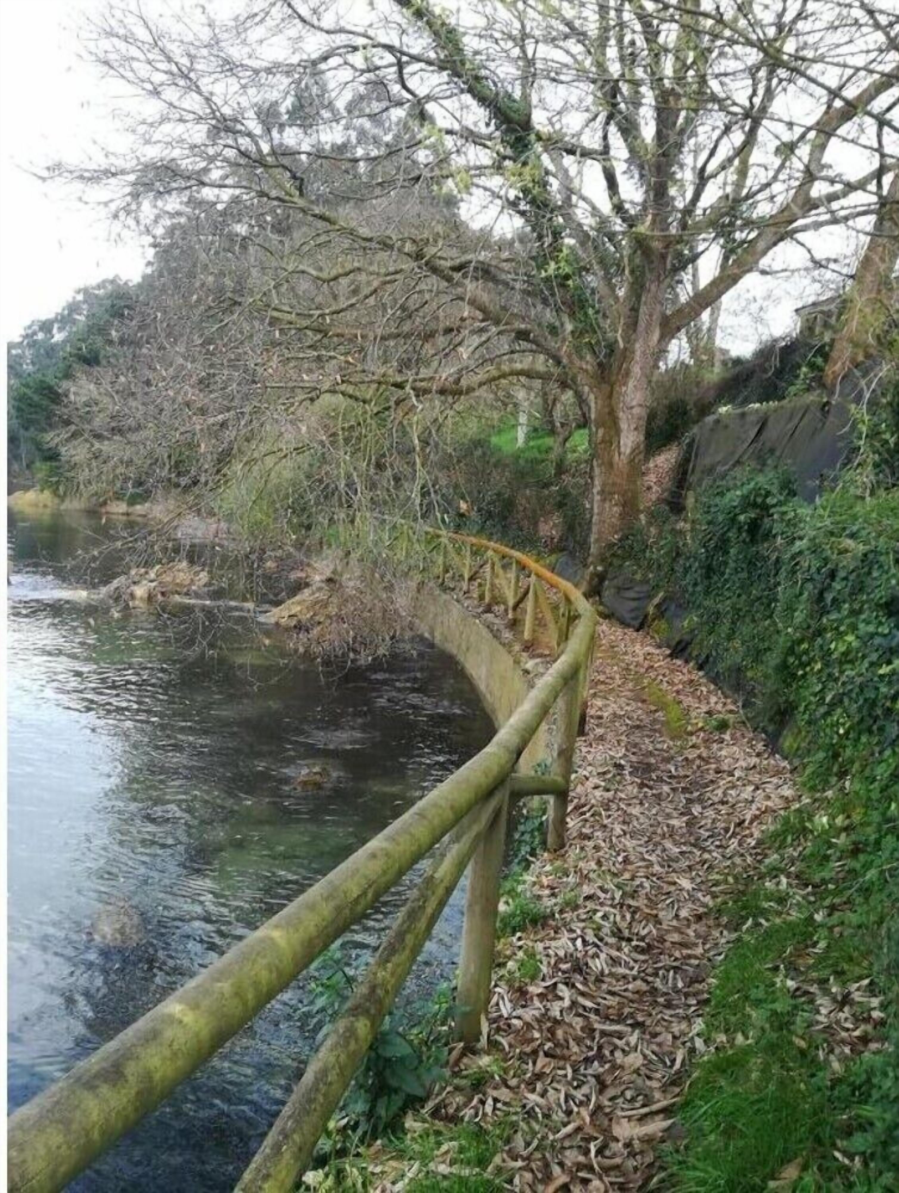 Una passeggiata lungo il fiume con ringhiera in legno, circondata da alberi e vegetazione.
