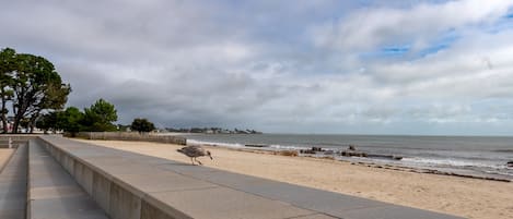 Una playa cerca