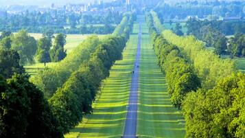 Une longue route droite, bordée de champs verdoyants et d’arbres, qui mène vers une ville lointaine à l’horizon.