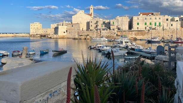 Un pueblo costero con edificios históricos de piedra, un puerto con barcos y un cielo despejado.