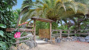 Eine Pergola aus Holz mit einem Kiesweg, umgeben von üppiger Vegetation und Palmen.