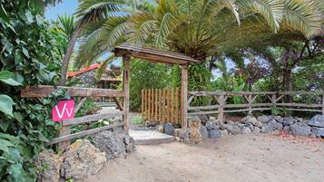 Terrein van de accommodatie