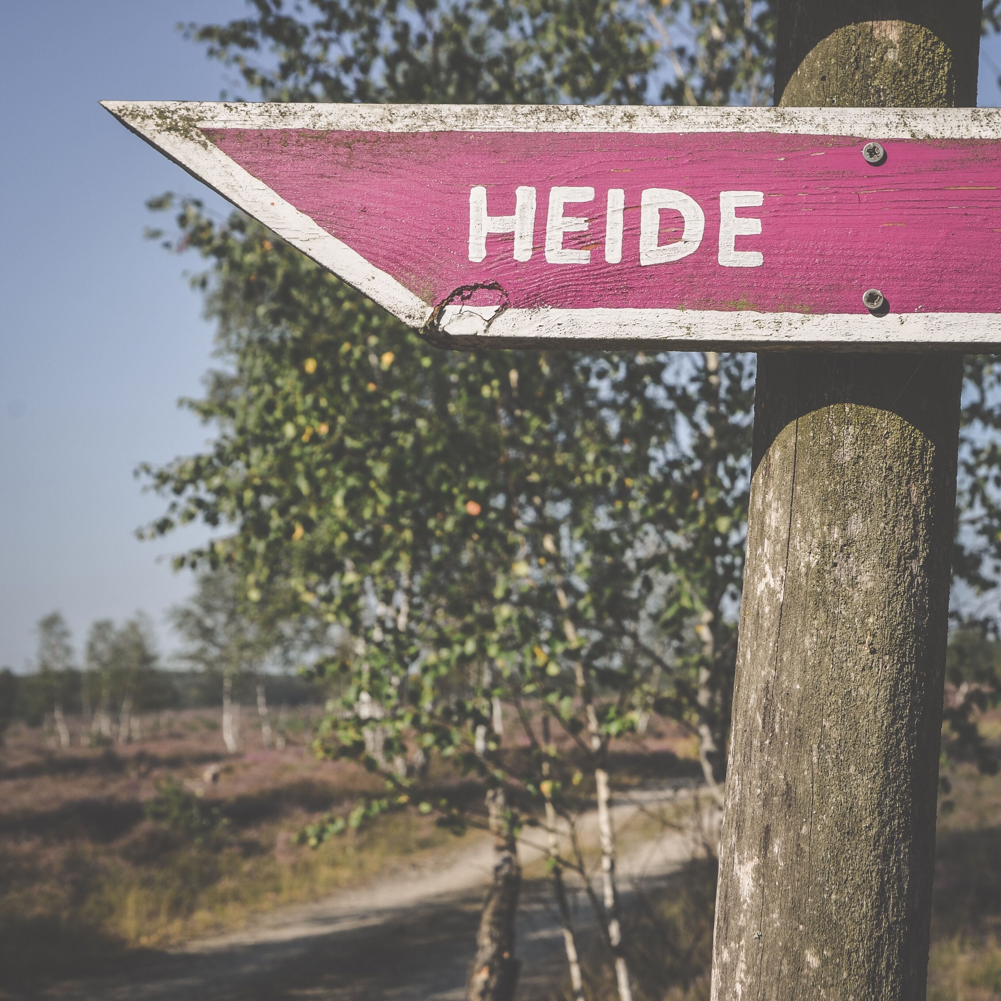 A directional signpost with the word "HEIDE" on it.