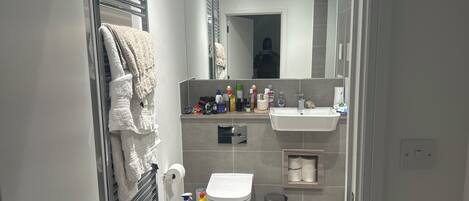 Appartement | Salle de bain | Ensemble baignoire-douche, baignoire profonde, serviettes fournies