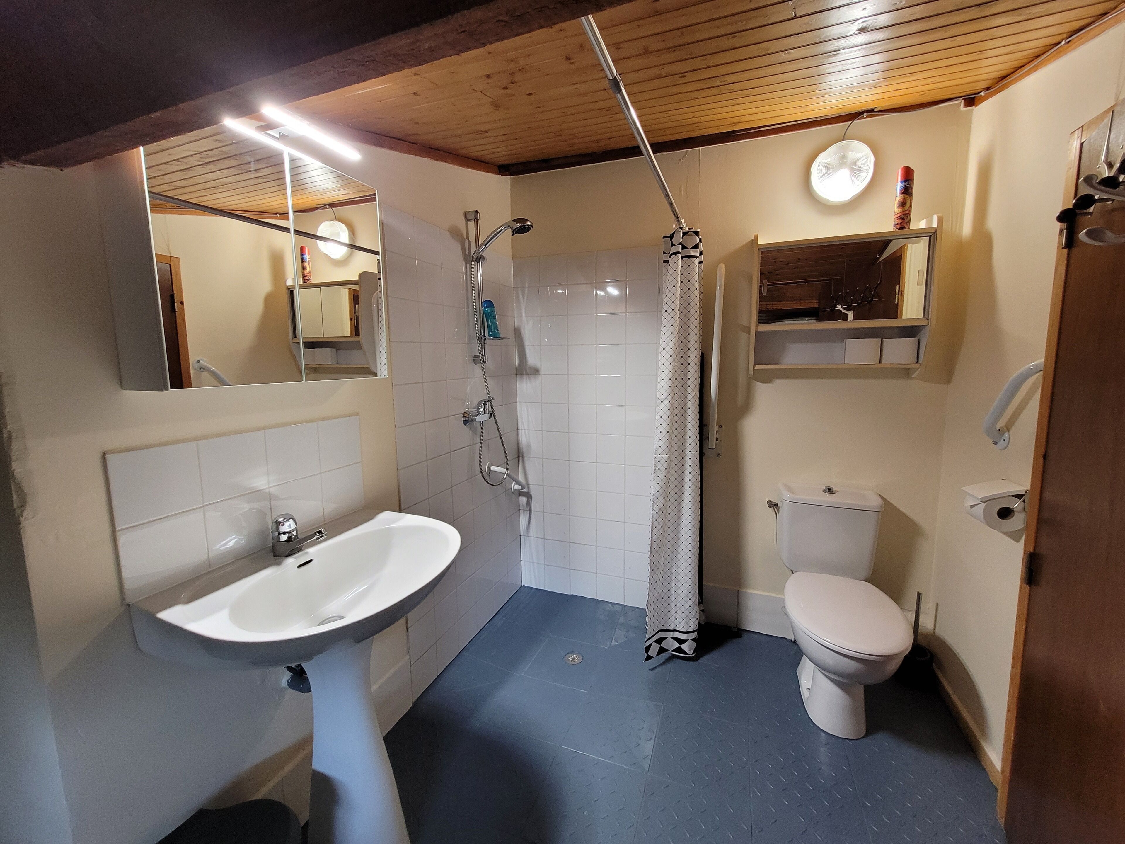 A bathroom with a sink, toilet, shower, and a mirror.