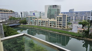 Deluxe Apartment | View from room