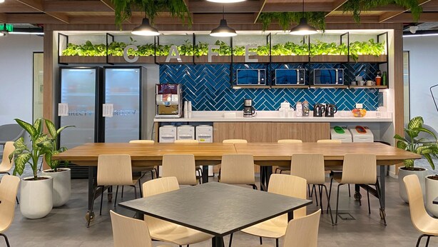 Una cocina moderna con una mesa de madera grande, sillas, microondas integrado, cafetera y plantas en macetas.