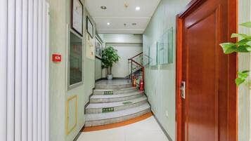 A hallway with a wooden door, a staircase, and a potted plant.