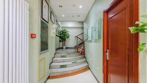 Un couloir avec une porte en bois, un escalier et une plante.