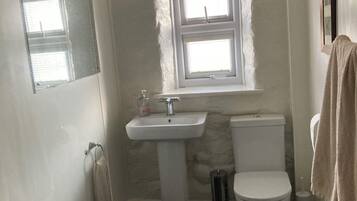 Hair dryer, soap, toilet paper