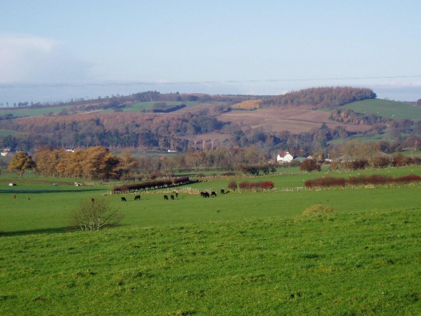 A rural landscape with green fields, scattered trees, and a few buildings in the distance.