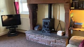 Télévision, cheminée, lecteur de DVD, livres