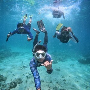 Accommodatie ligt op het strand, wit zand