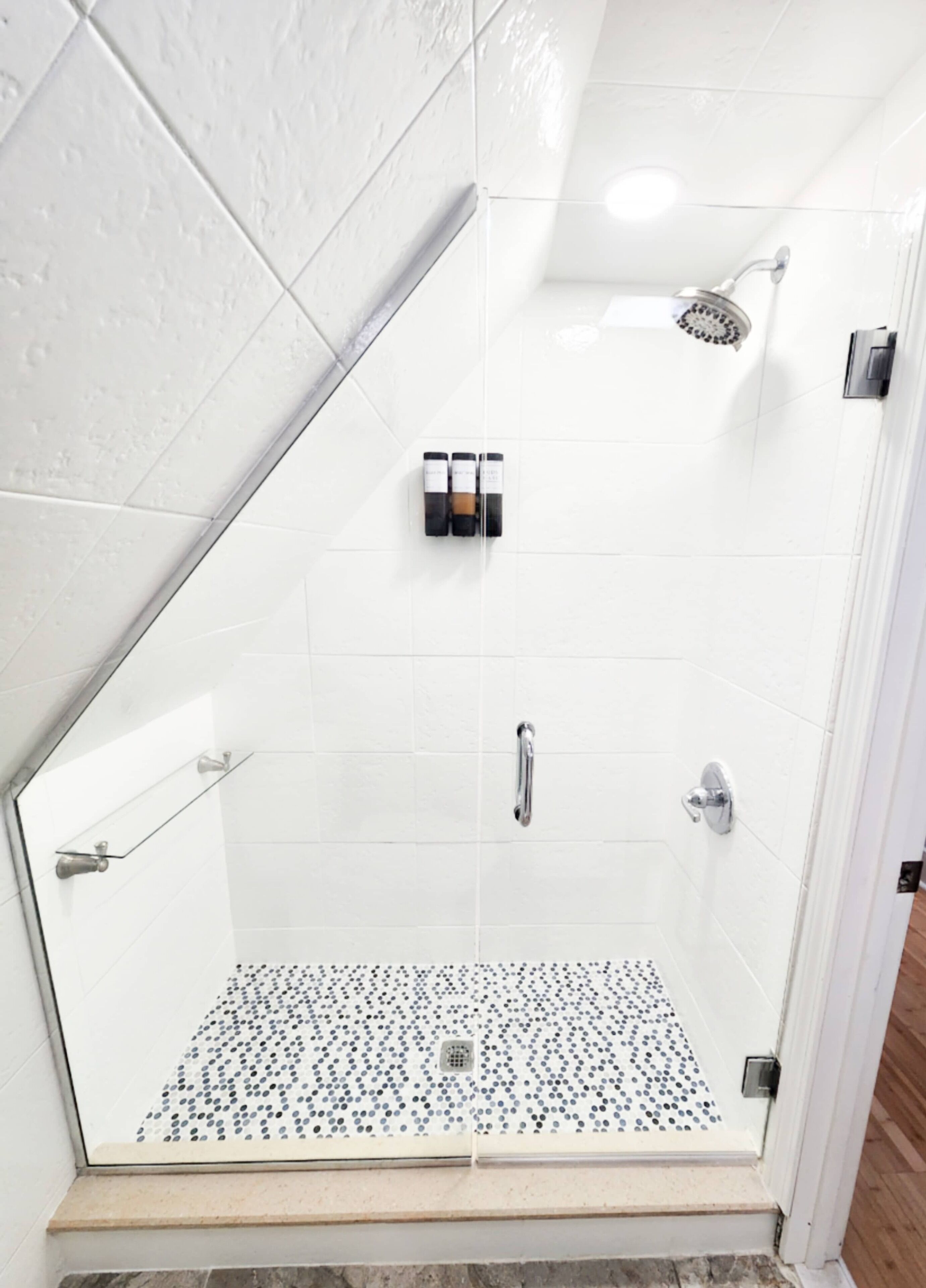 Shower, hair dryer, towels, shampoo
