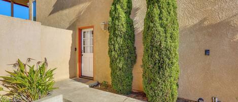A building with a concrete entrance, a door, and two tall, green, vertical plants.
