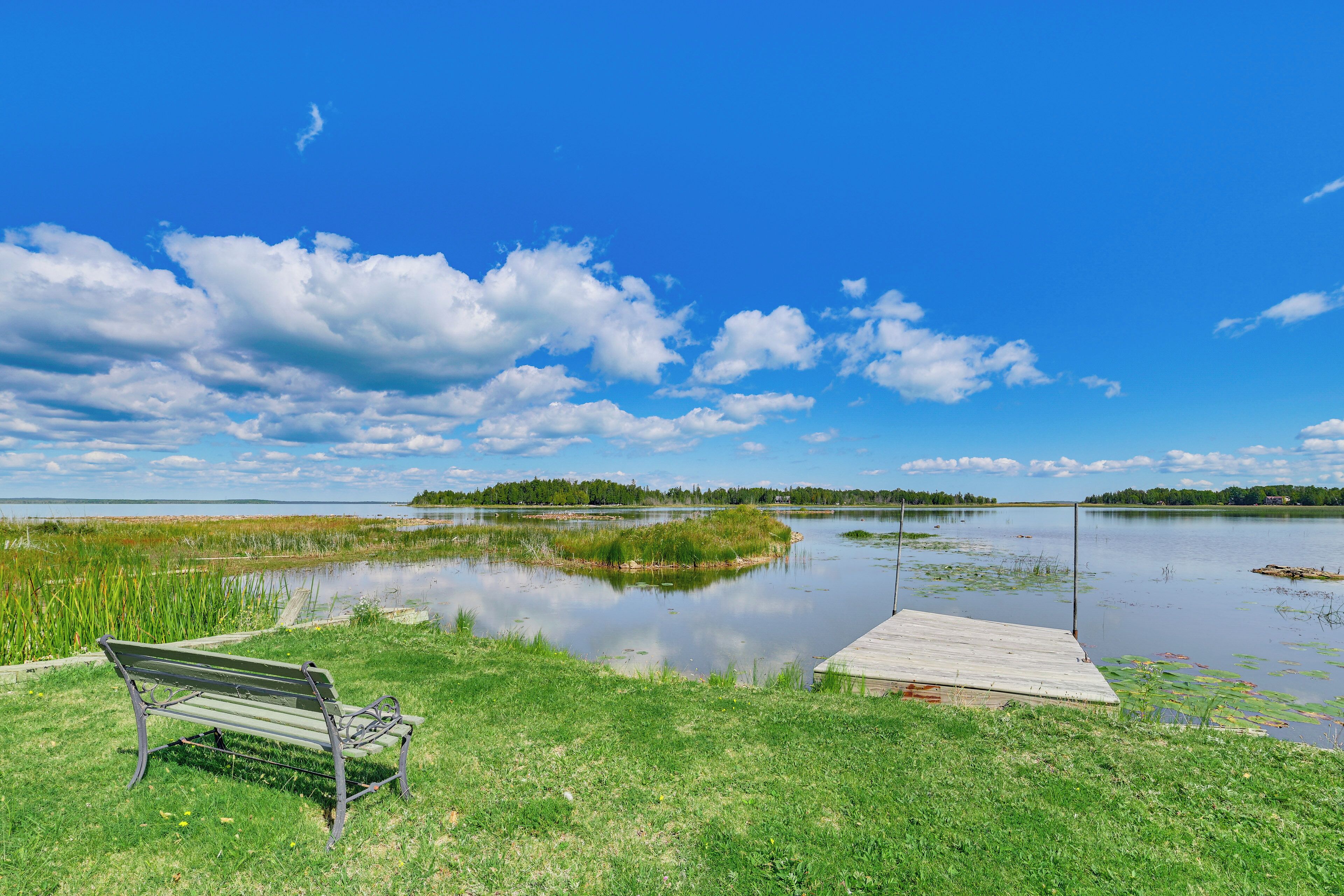 A bench by a calm lake with a wooden dock, surrounded by grassy areas and trees.