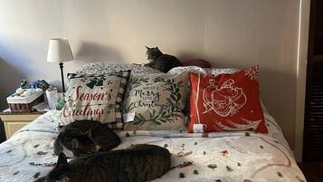 2 bedrooms, WiFi, bed sheets