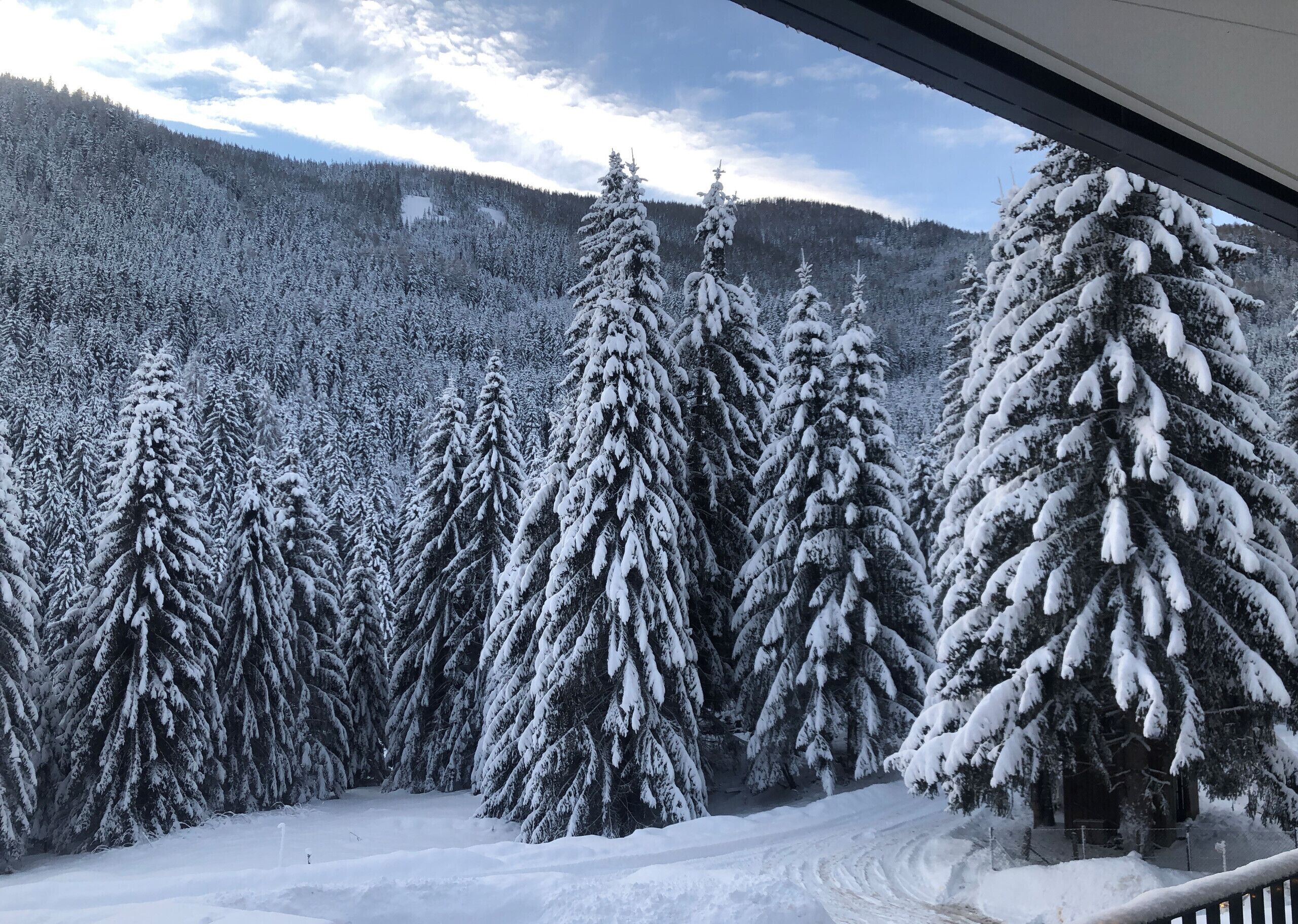 Paesaggio invernale di una foresta innevata, con vista su alberi imbiancati e una montagna sullo sfondo.