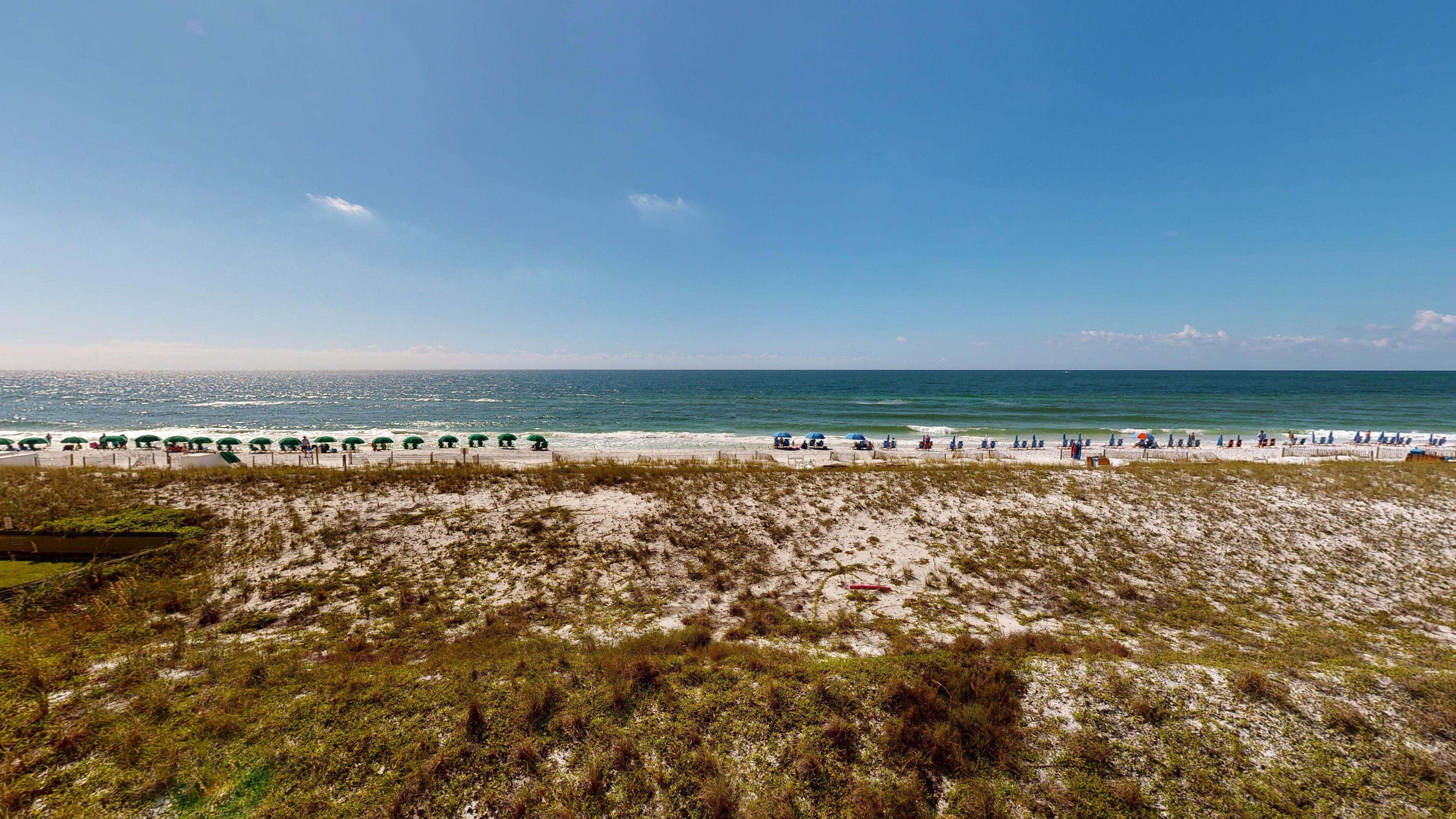 A beach with rows of umbrellas and beach chairs, a sandy foreground with sparse vegetation, and the ocean in the background.