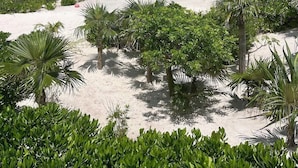 Una spiaggia con sabbia bianca, vegetazione verde e oceano blu cristallino sotto un cielo luminoso.