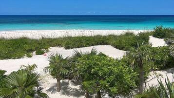 A beach with white sand, green vegetation, and a clear blue ocean under a bright sky.